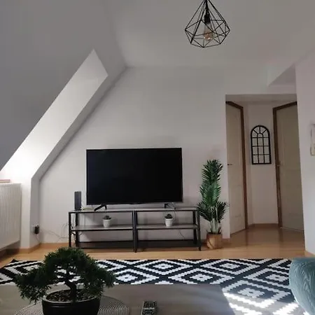 Tres Bel Appart Charmant 85M2 Parking Gratuit Molsheim Exterior photo